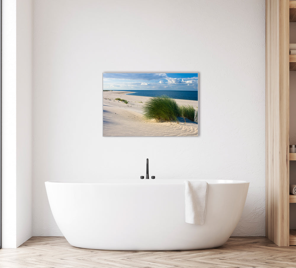 Plage avec herbe des dunes