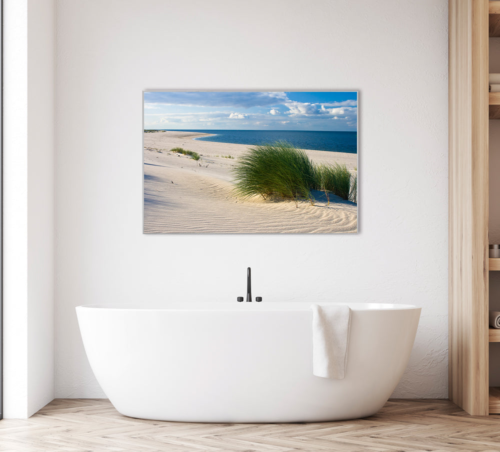 Picture & Frame Beach with dune grass