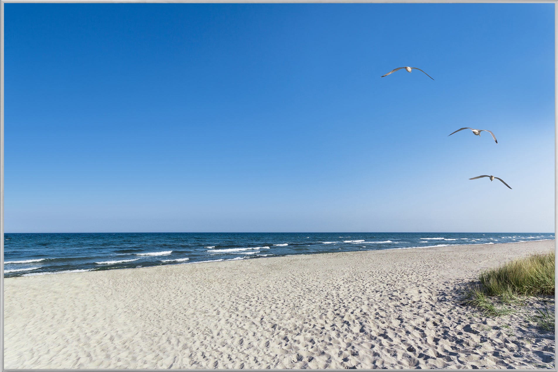 Bild & Rahmen Einsamer Strand