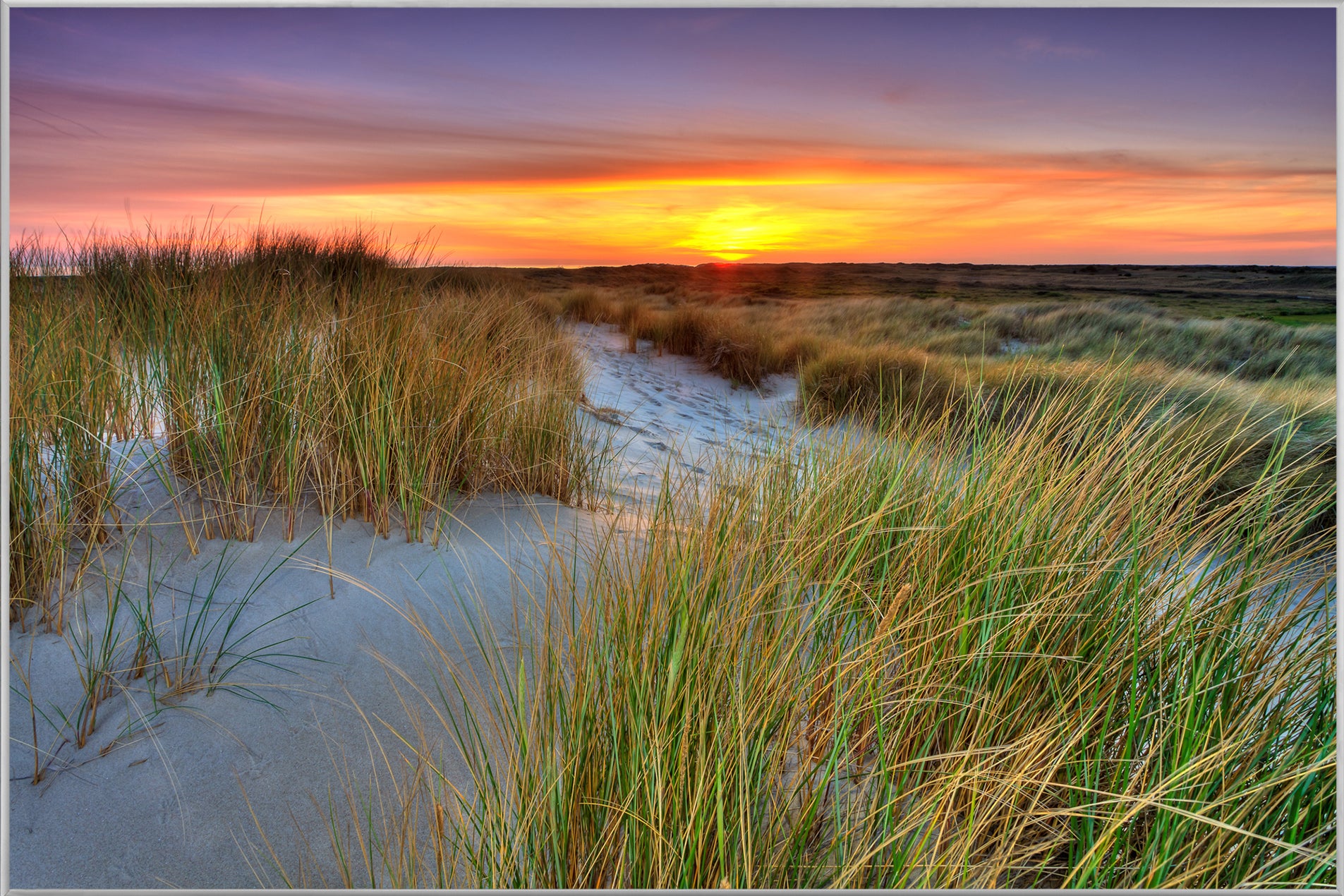 Picture & Frame Dune Landscape with Sunset