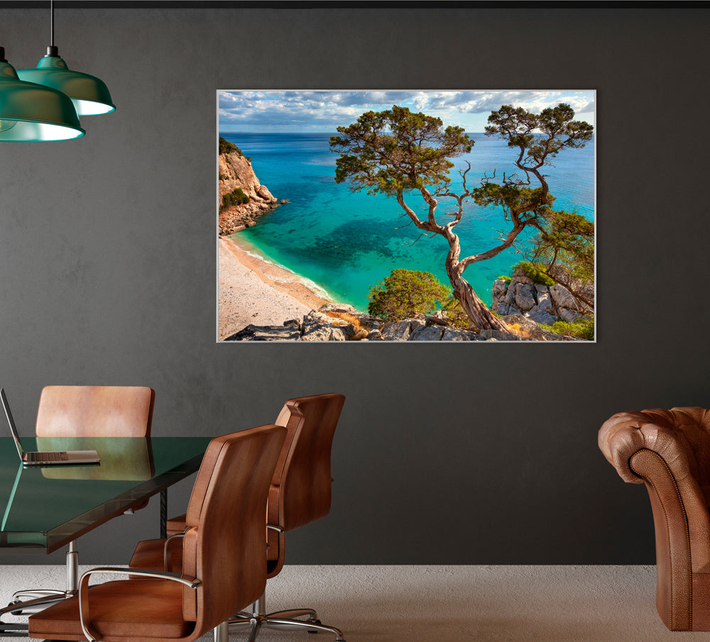 Picture & Frame Cliff with Tree