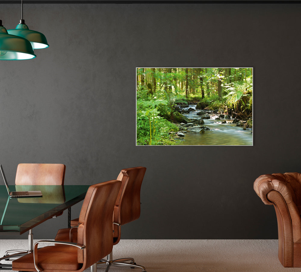Bild & Rahmen Flußlauf im Wald 1