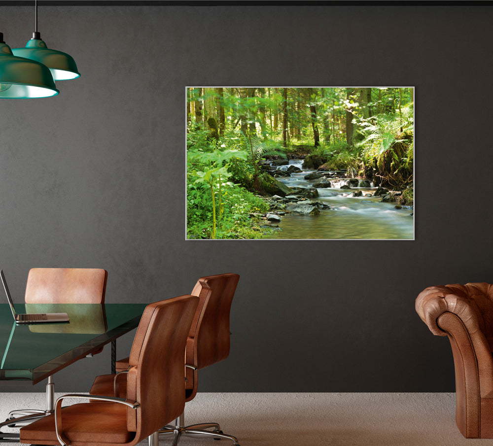 Bild & Rahmen Flußlauf im Wald 1