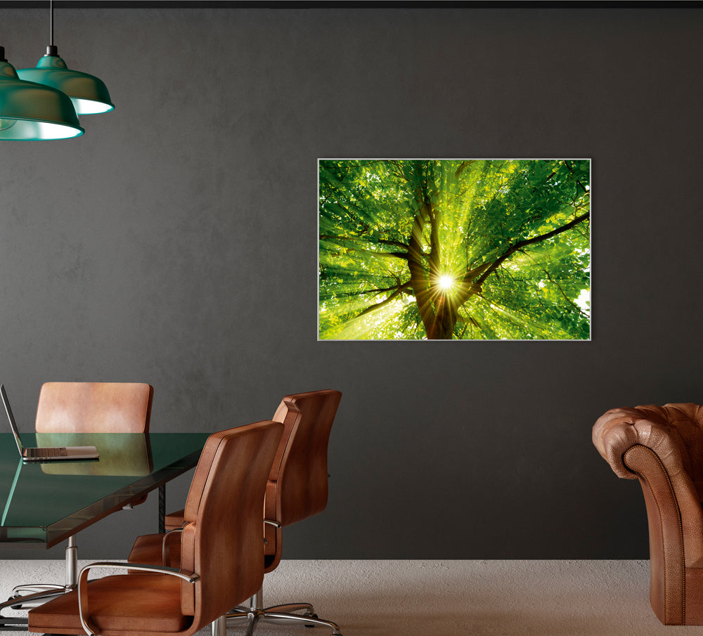 Image et cadre Cime des arbres 1