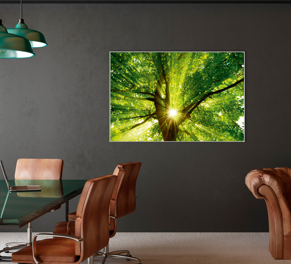 Picture & Frame Treetop 1