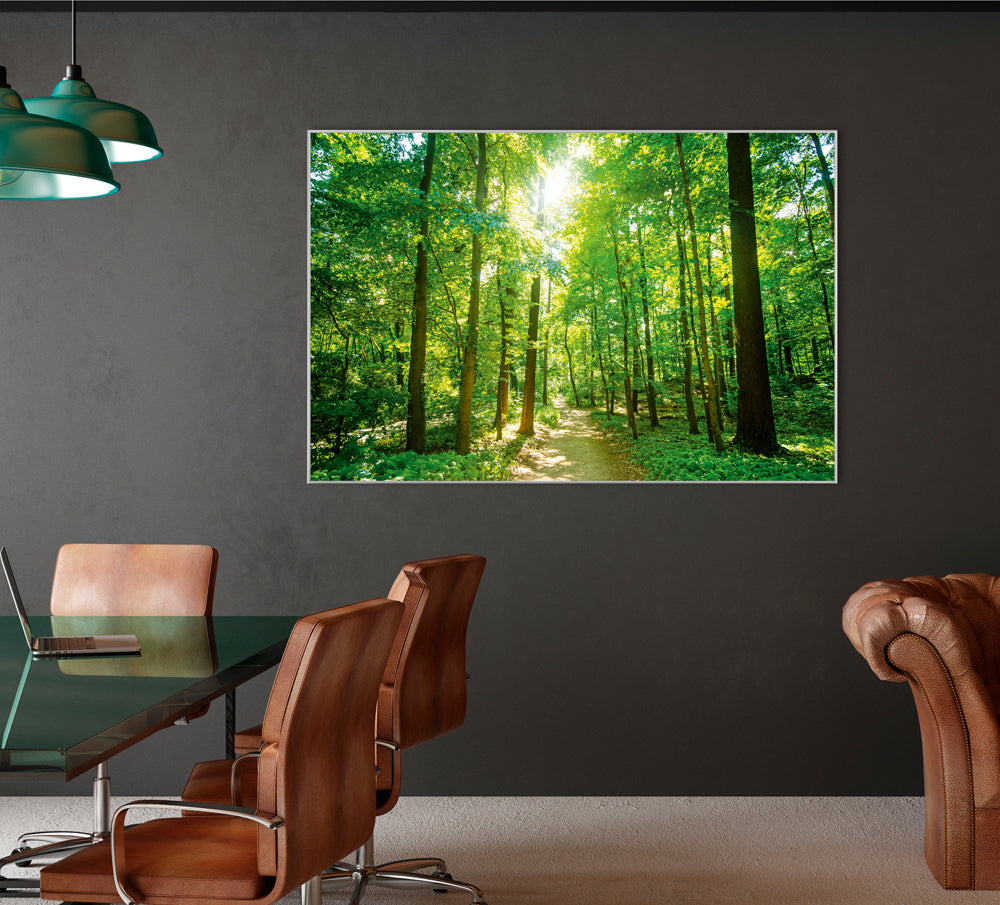 Bild & Rahmen Waldweg