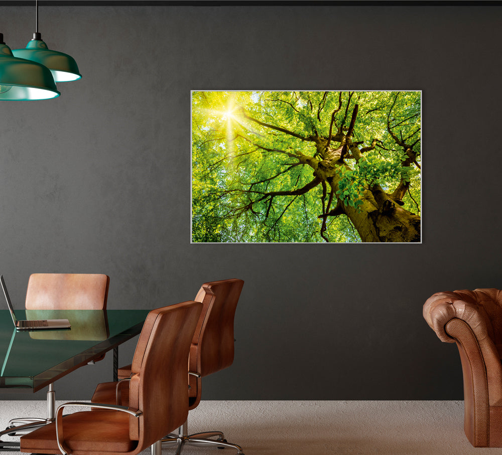 Picture & Frame Treetop 2
