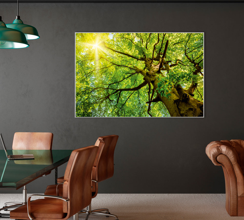 Image et cadre Cime des arbres 2