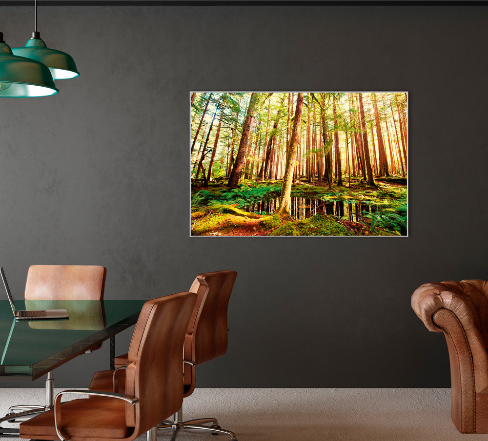 Picture & Frame Tree Trunks