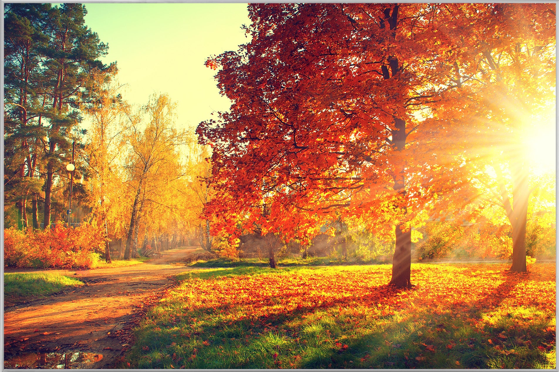 Bild & Rahmen Abendstimmung im Herbstwald