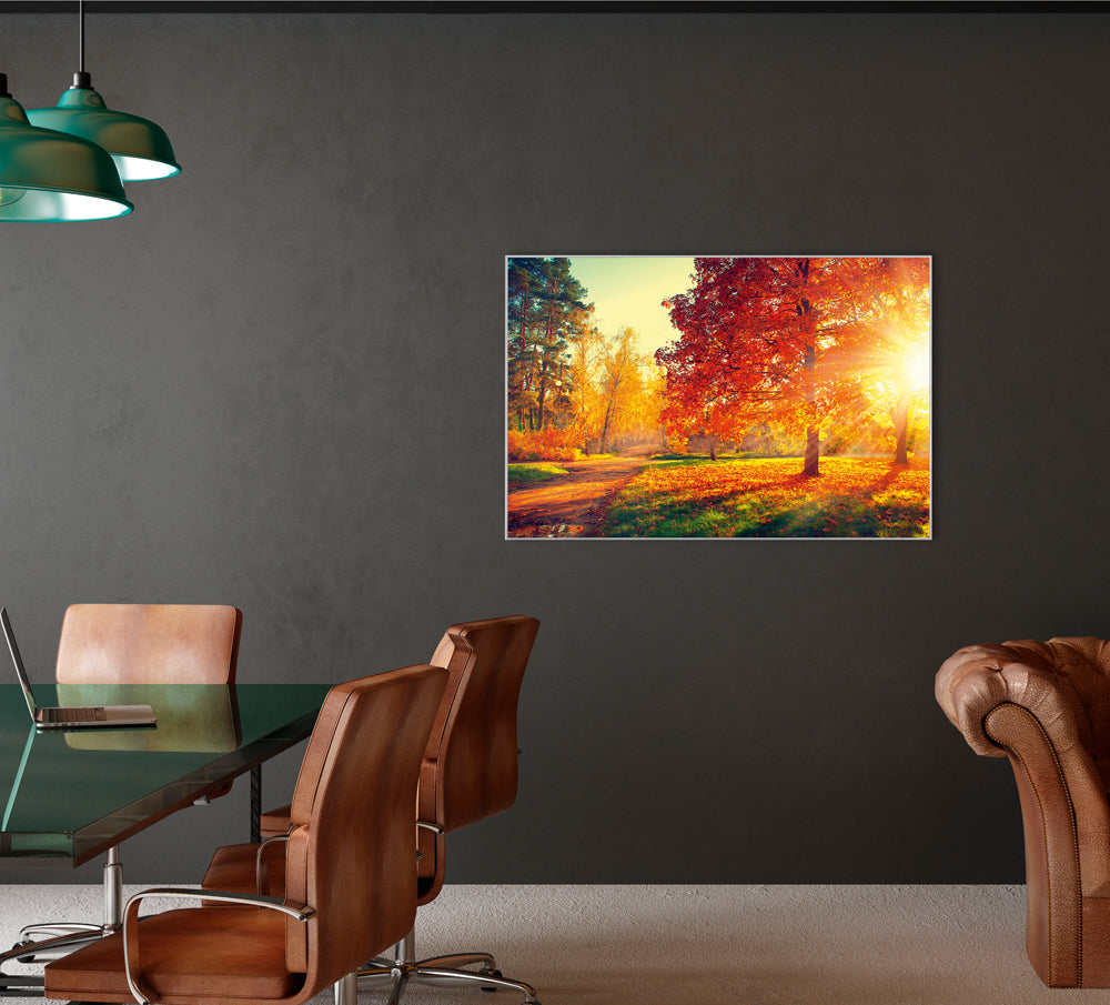 Bild & Rahmen Abendstimmung im Herbstwald