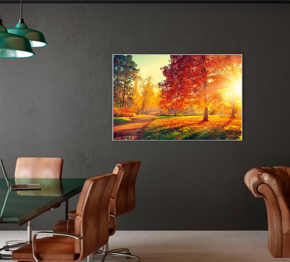 Bild & Rahmen Abendstimmung im Herbstwald