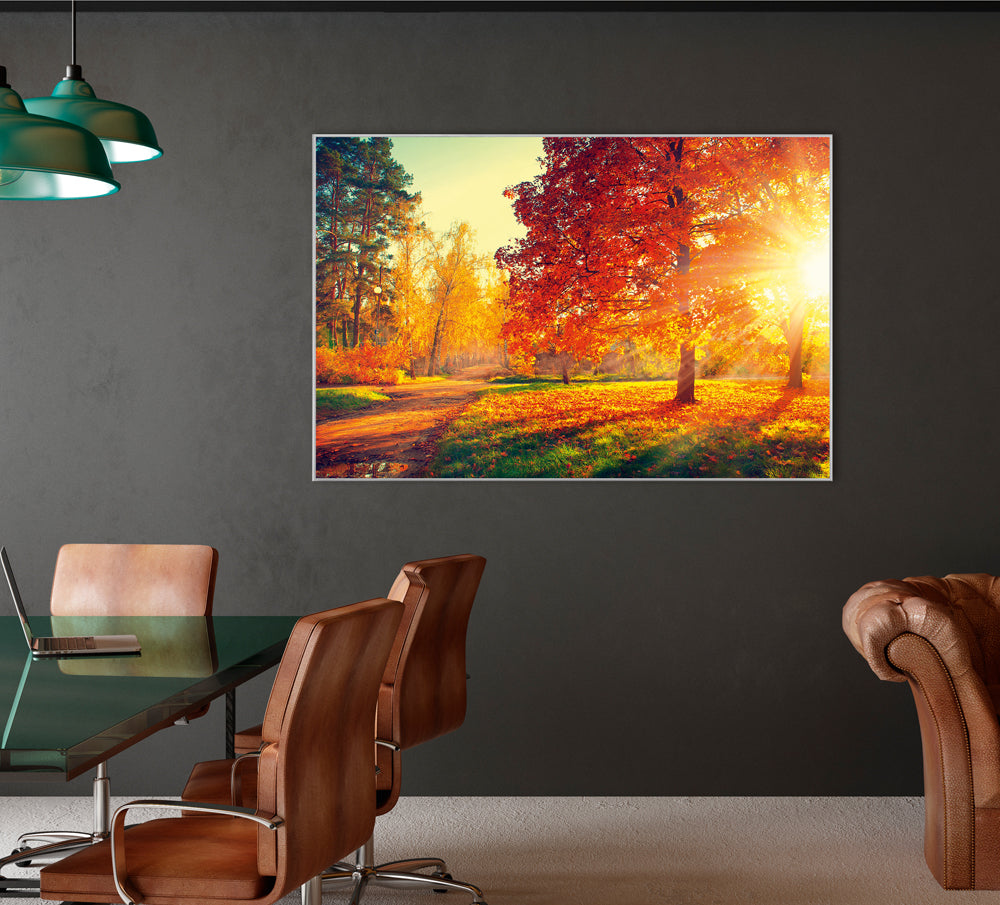 Bild & Rahmen Abendstimmung im Herbstwald