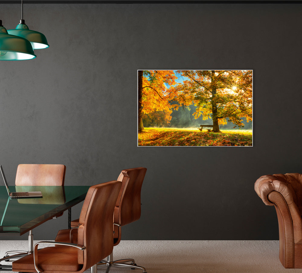 Bild & Rahmen Sonnenaufgang im Herbstwald