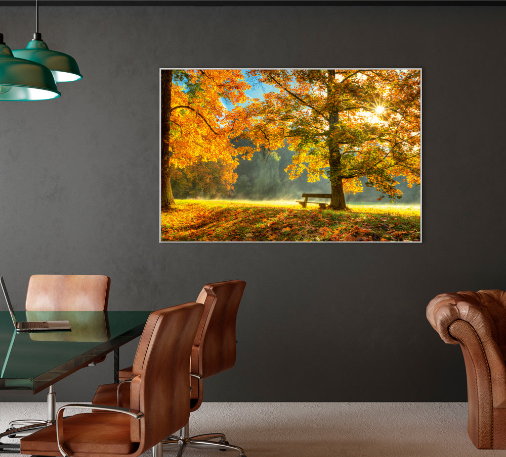 Image et cadre Lever de soleil dans la forêt d'automne