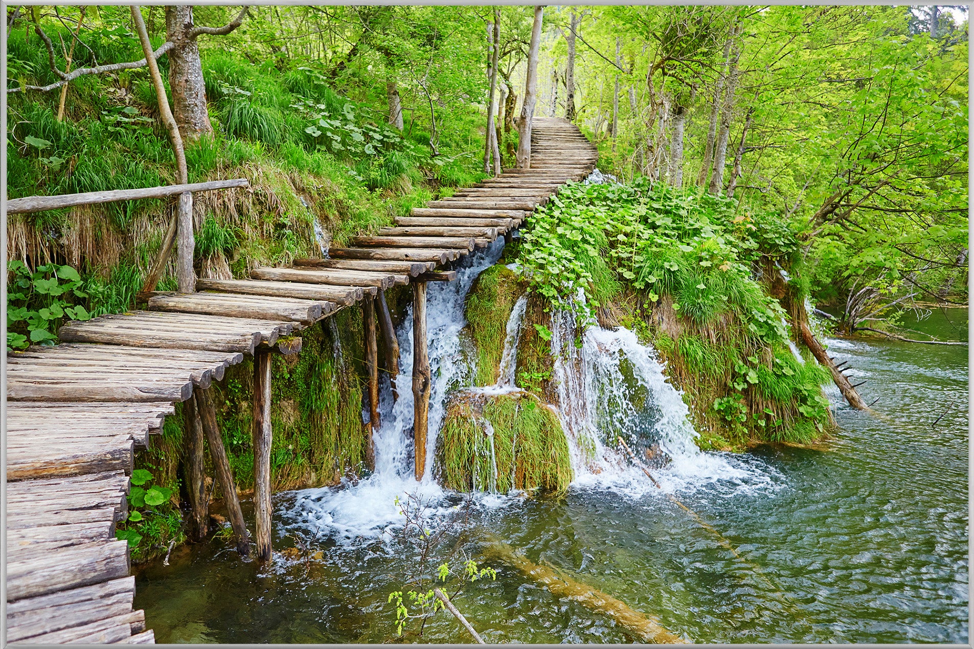Picture & Frame Small Waterfall in the Forest 3
