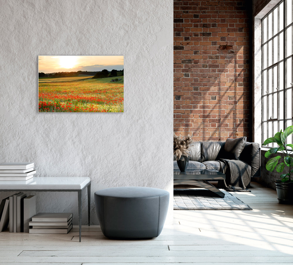 Picture & Frame Meadow with Poppies