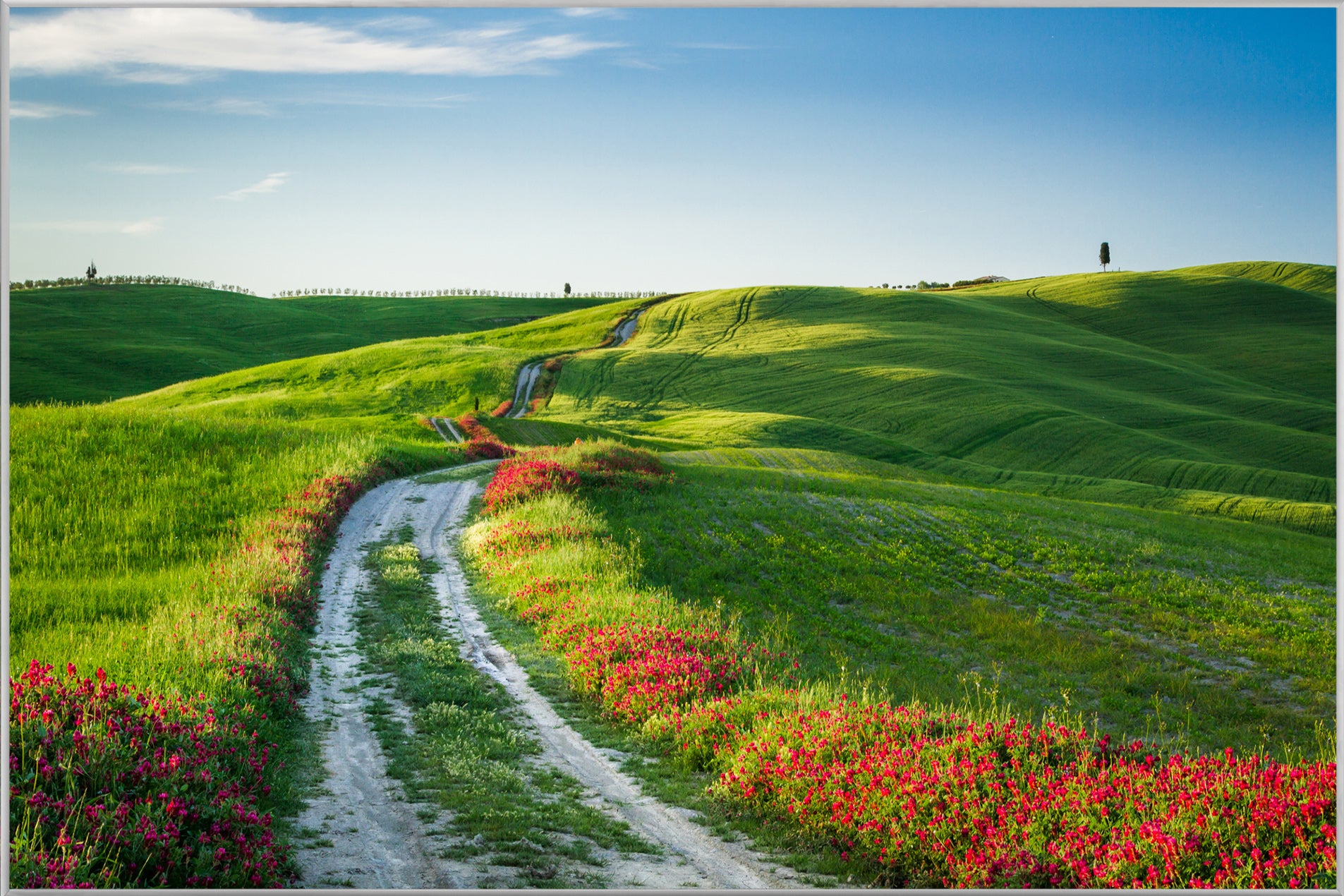 Picture & Frame Roadside with Poppies