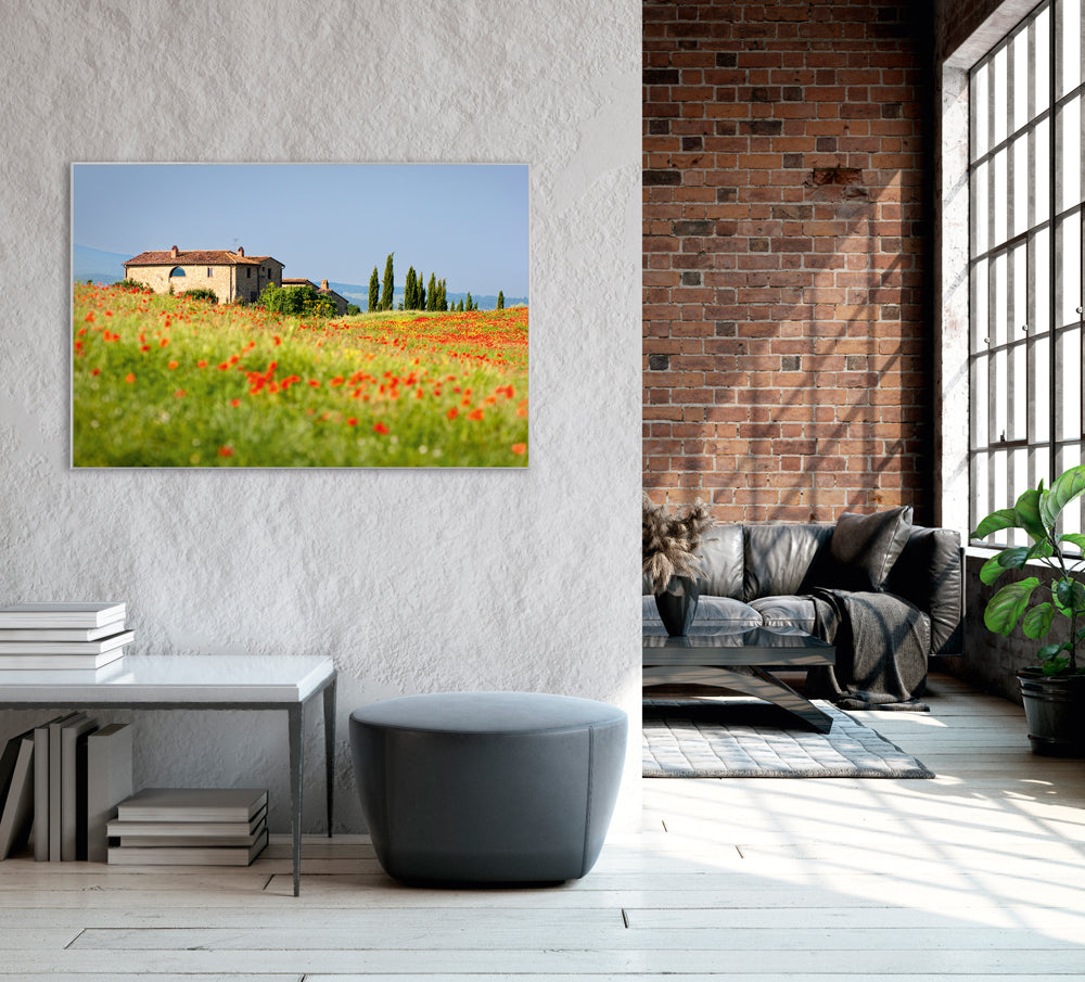 Picture & Frame House in Tuscany with poppy meadow