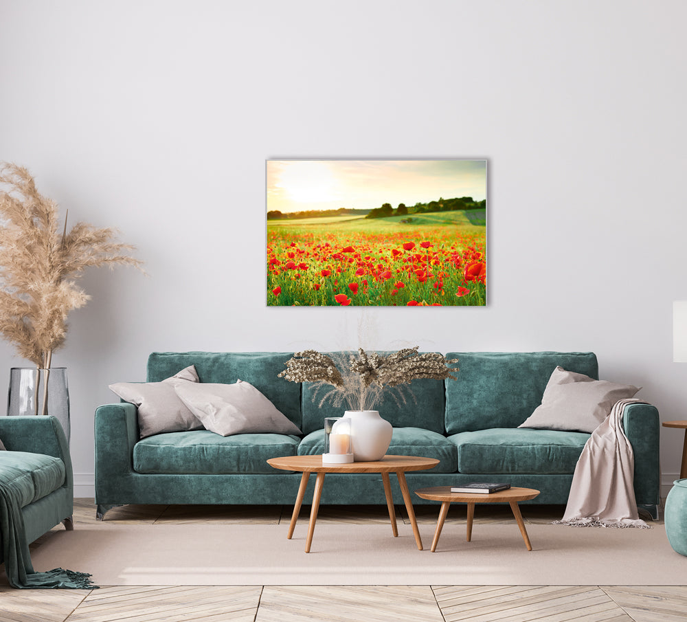 Picture & Frame Poppy Meadow 2