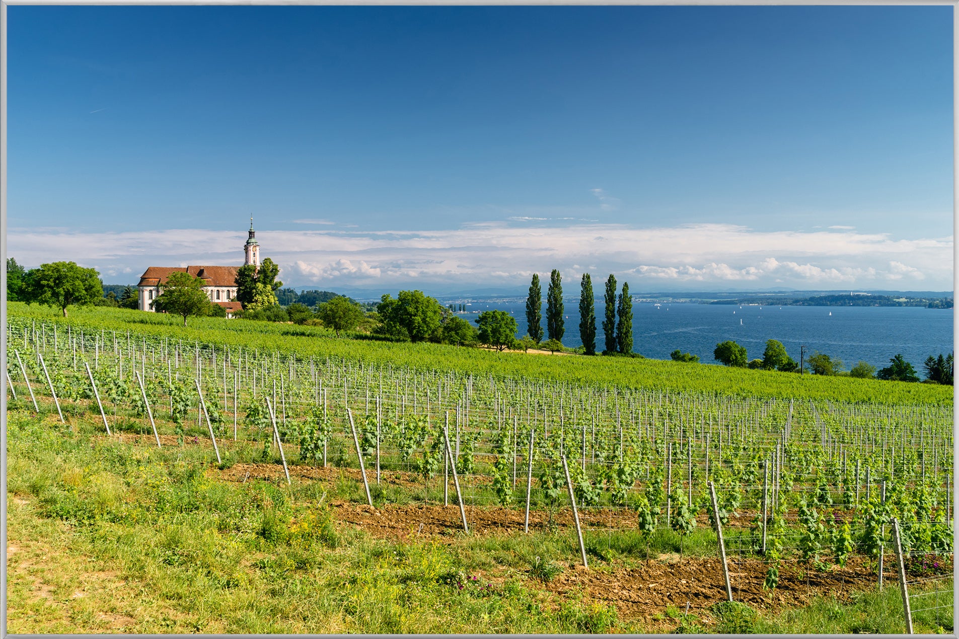 Bild & Rahmen Landschaft in der Toskana