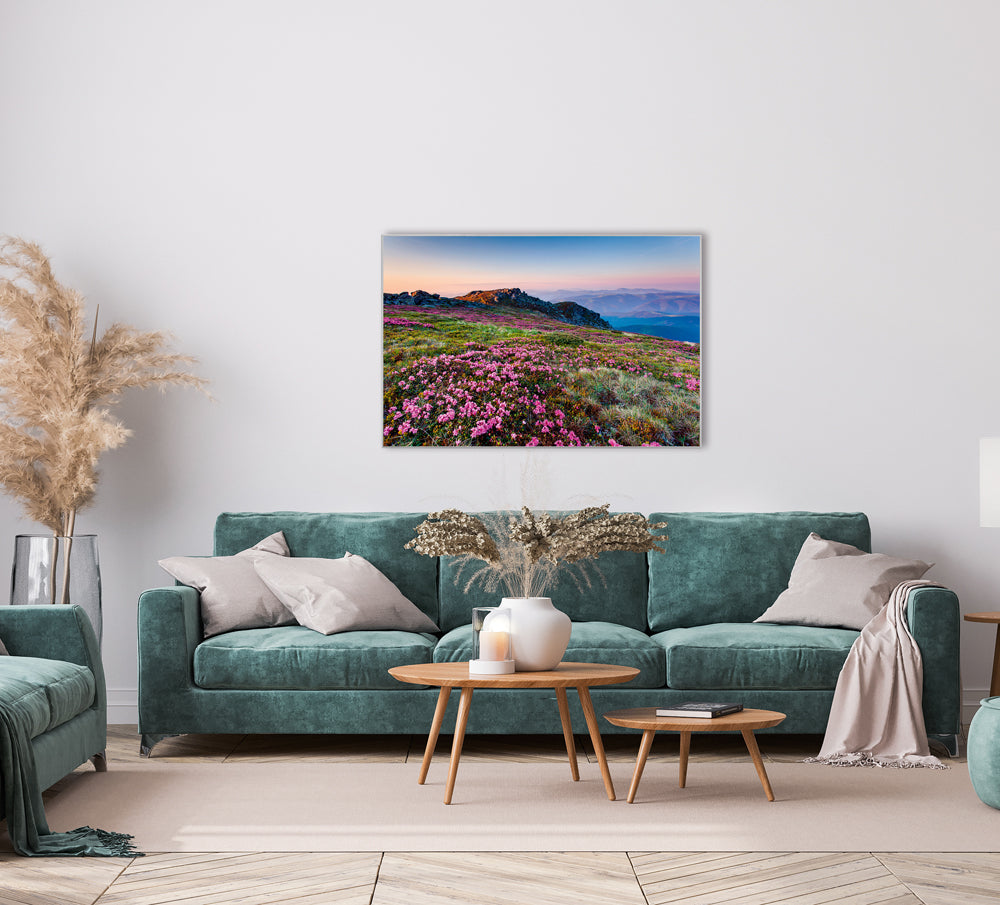 Picture & Frame Alpine landscape with purple flowers