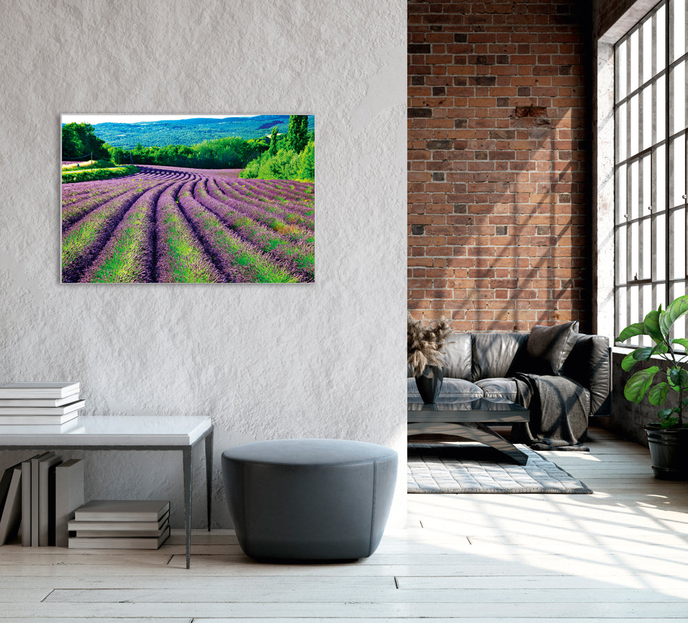 Picture & Frame Lavender Field 1