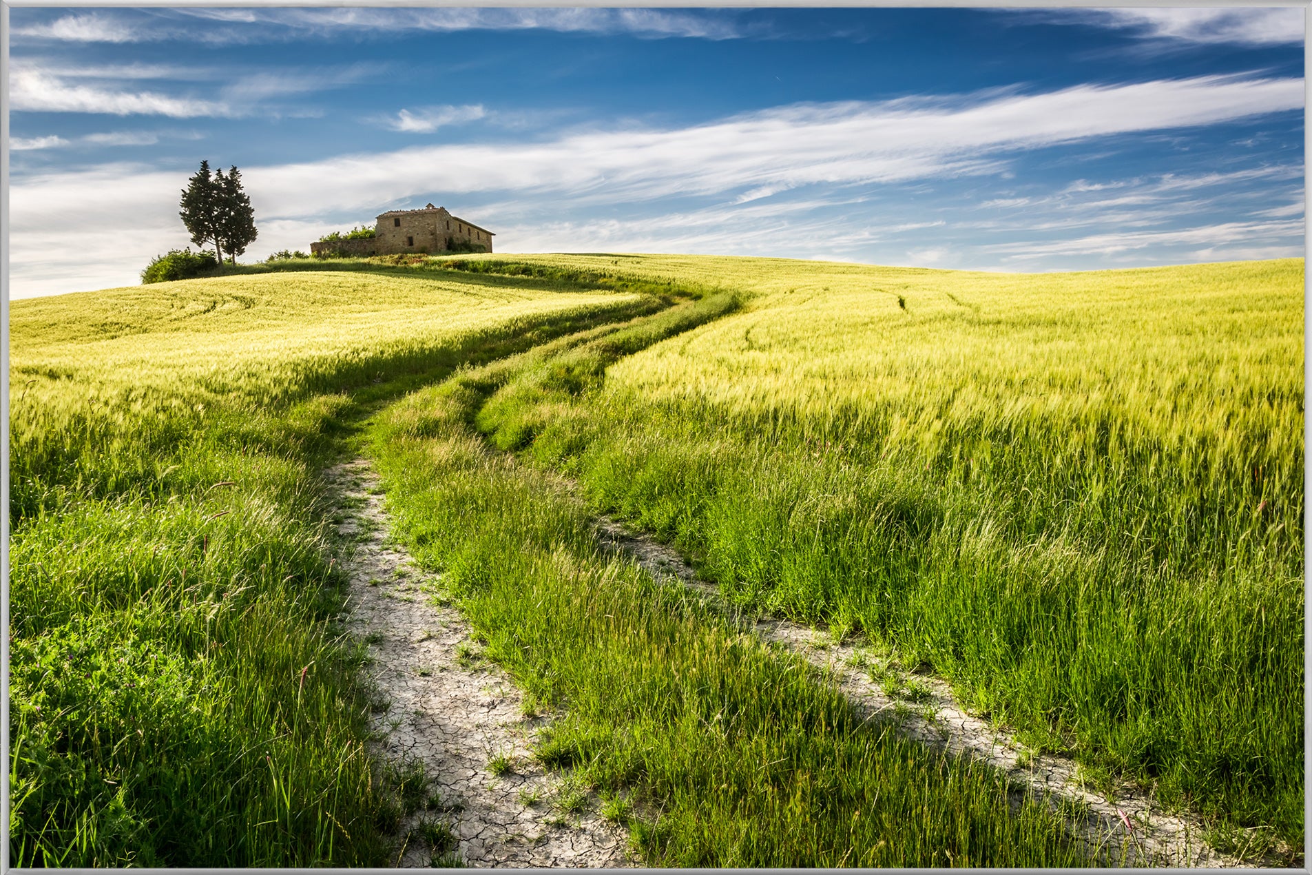 Picture & Frame Field Path