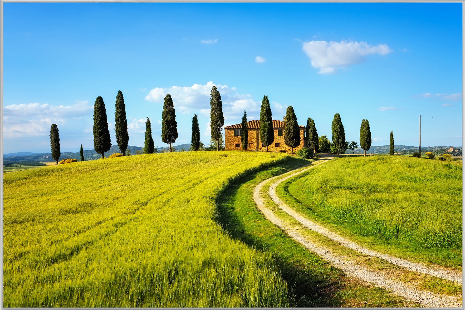 Bild & Rahmen Weg in der Toskana