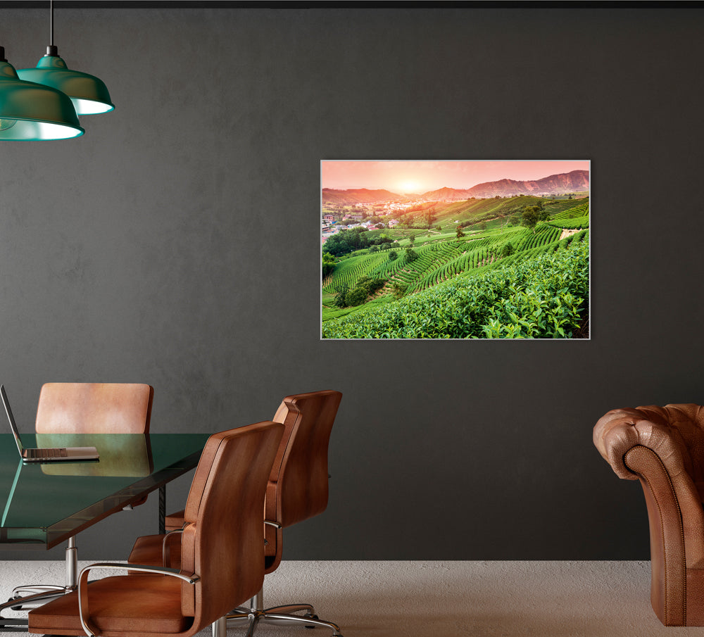 Picture & Frame Vineyards at Sunset