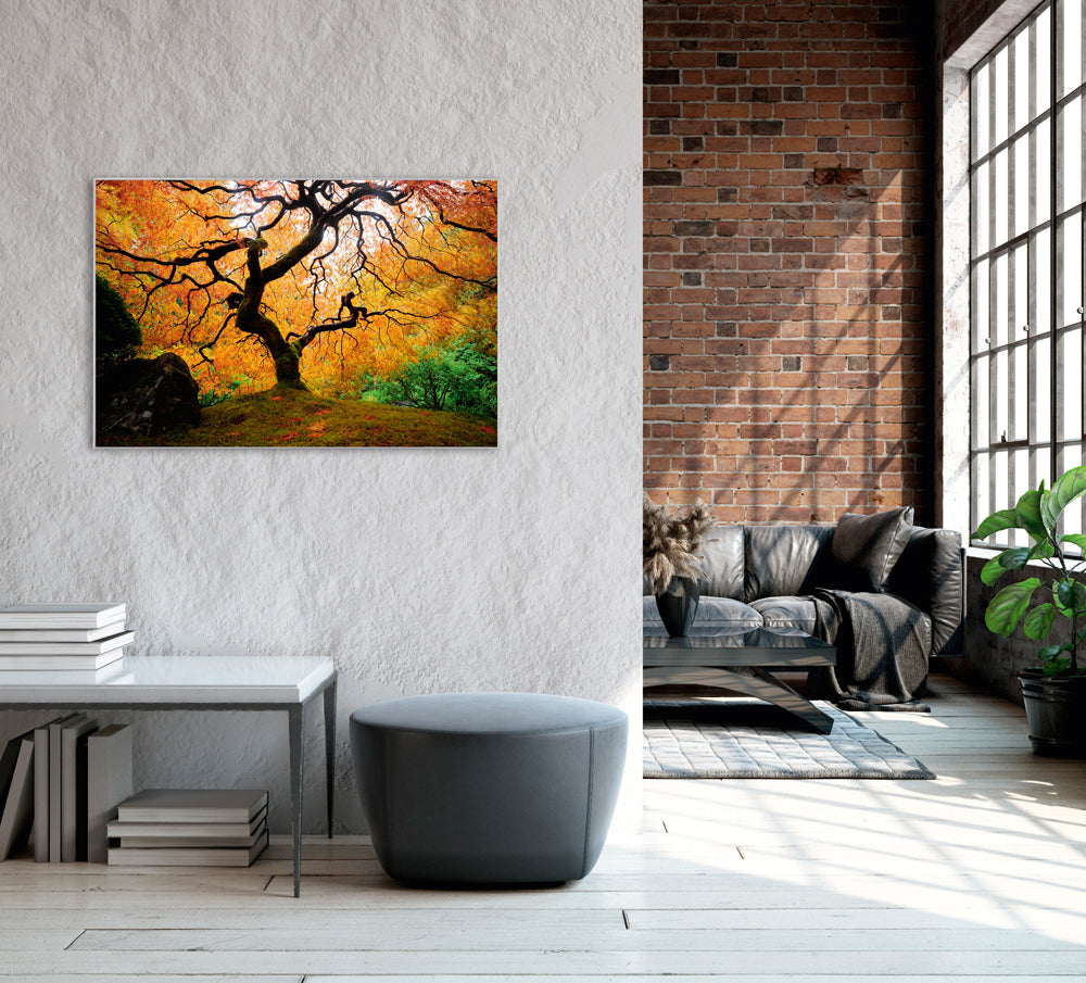 Bild & Rahmen Der Baum