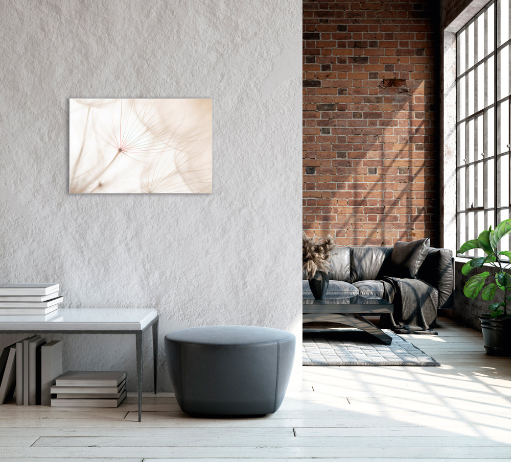 Picture & Frame Dandelion 2