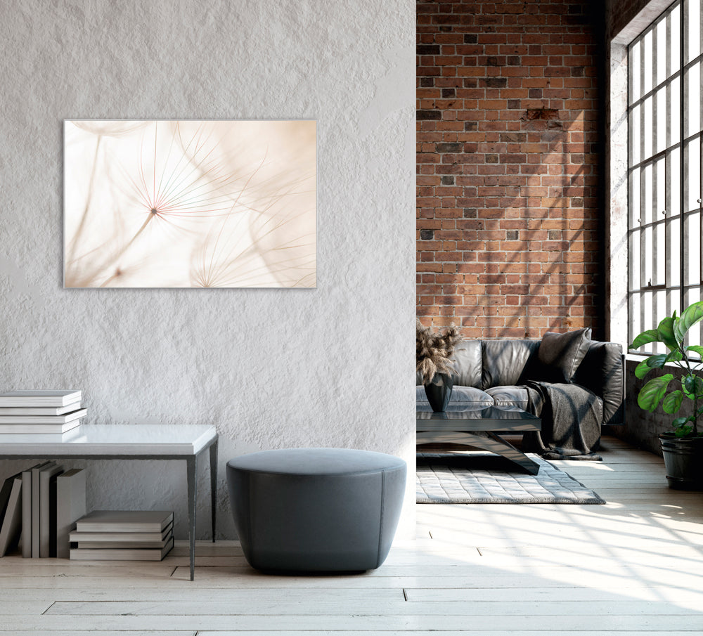 Picture & Frame Dandelion 2