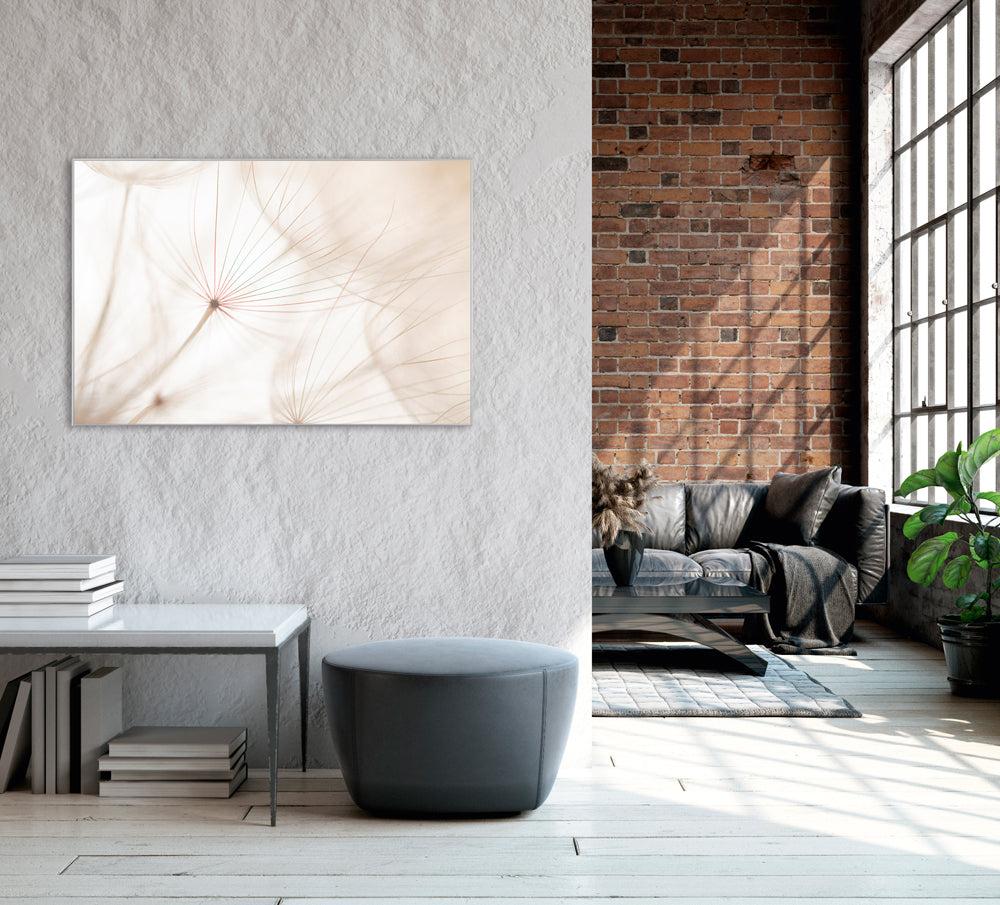 Picture & Frame Dandelion 2