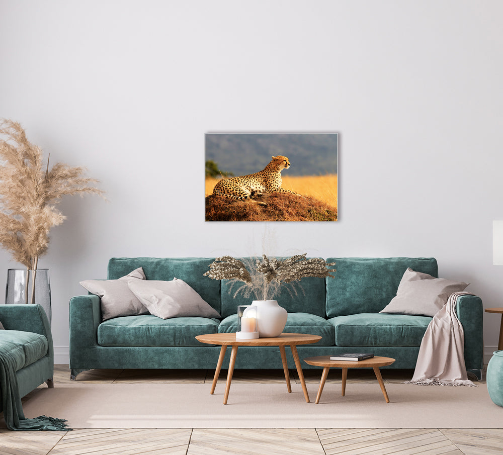 Picture & Frame Cheetah