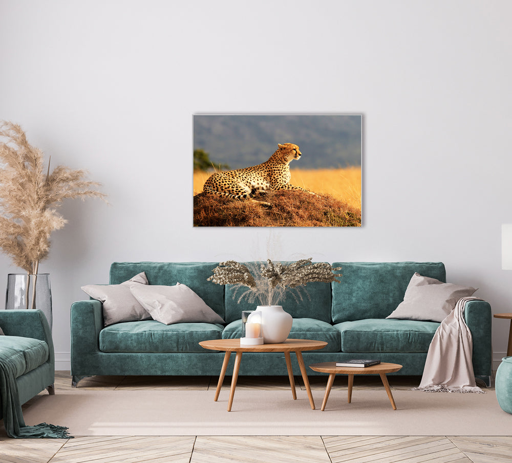 Picture & Frame Cheetah