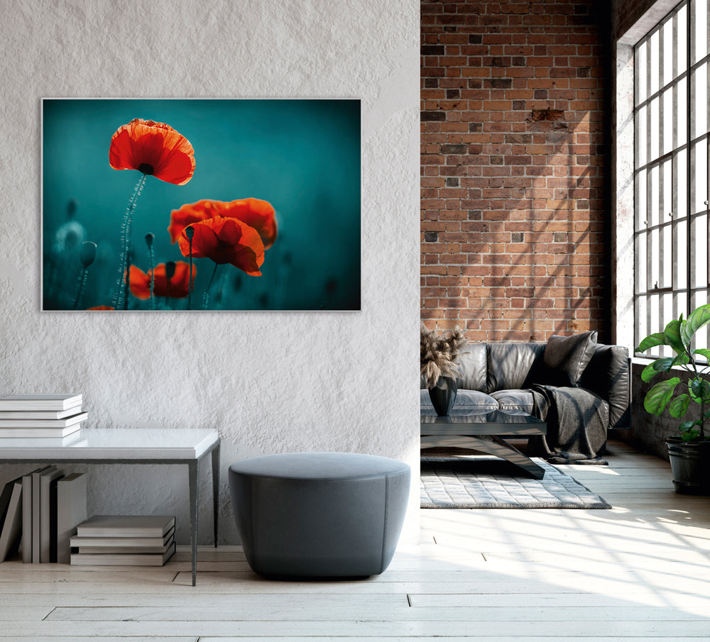 Picture & Frame Poppies 5