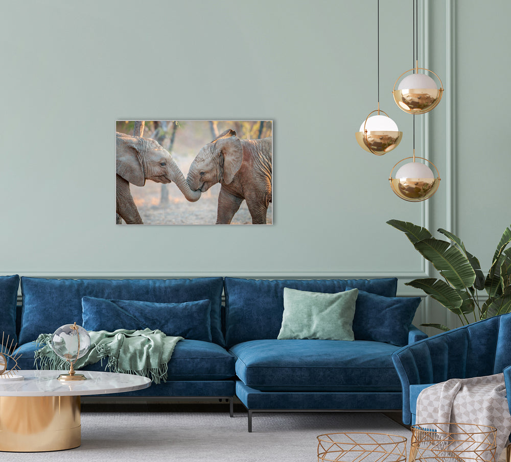 Bild & Rahmen 2 spielende Elefantenkinder