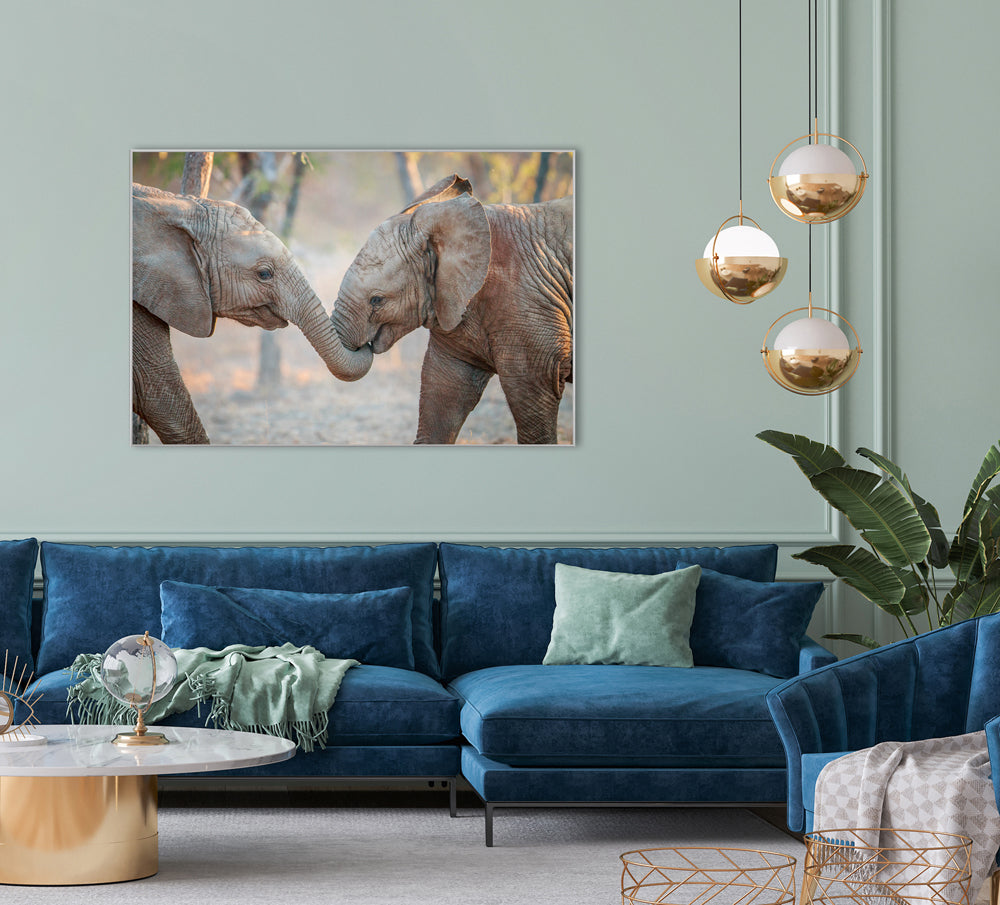 Bild & Rahmen 2 spielende Elefantenkinder