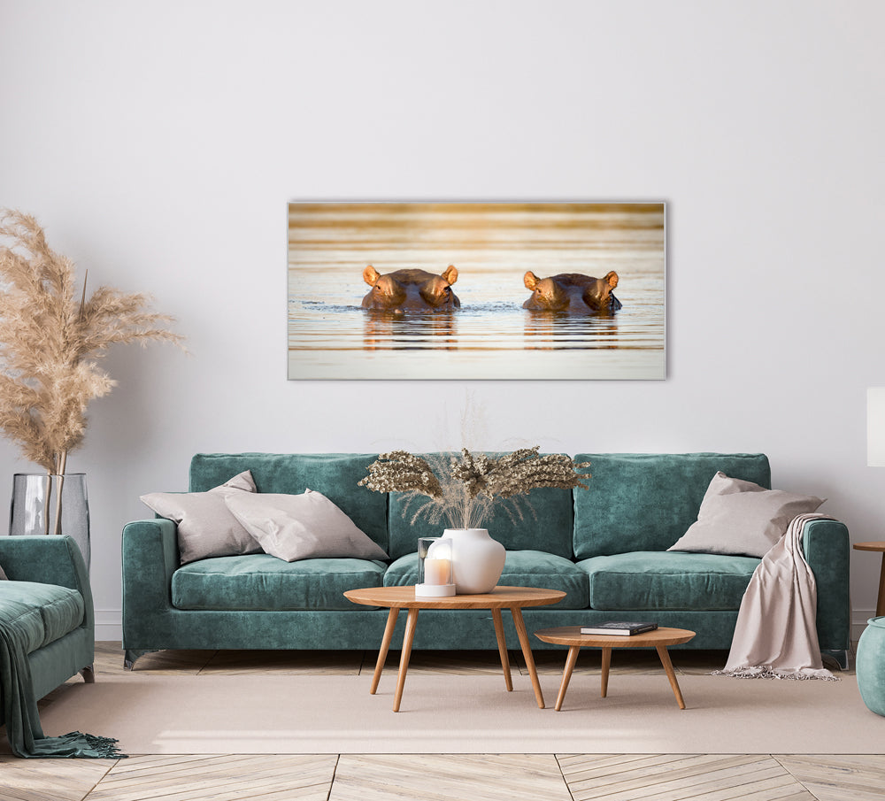 Image et cadre 2 hippopotames