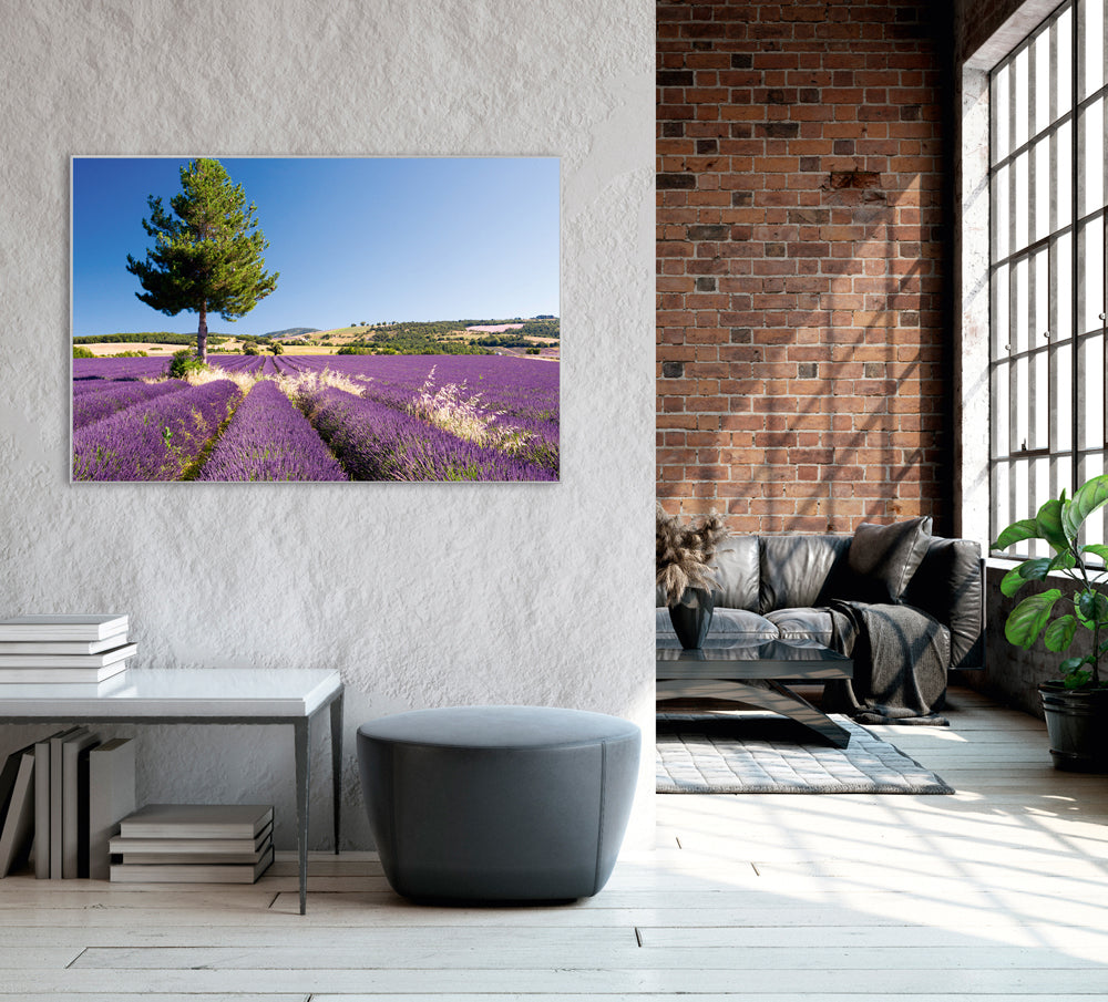 Picture & Frame Lavender Field 4