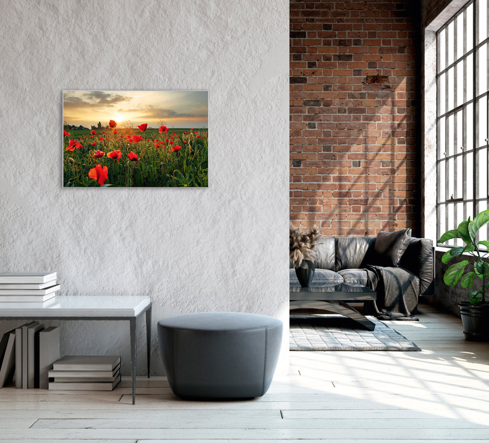 Image et cadre Poppy Meadow 3