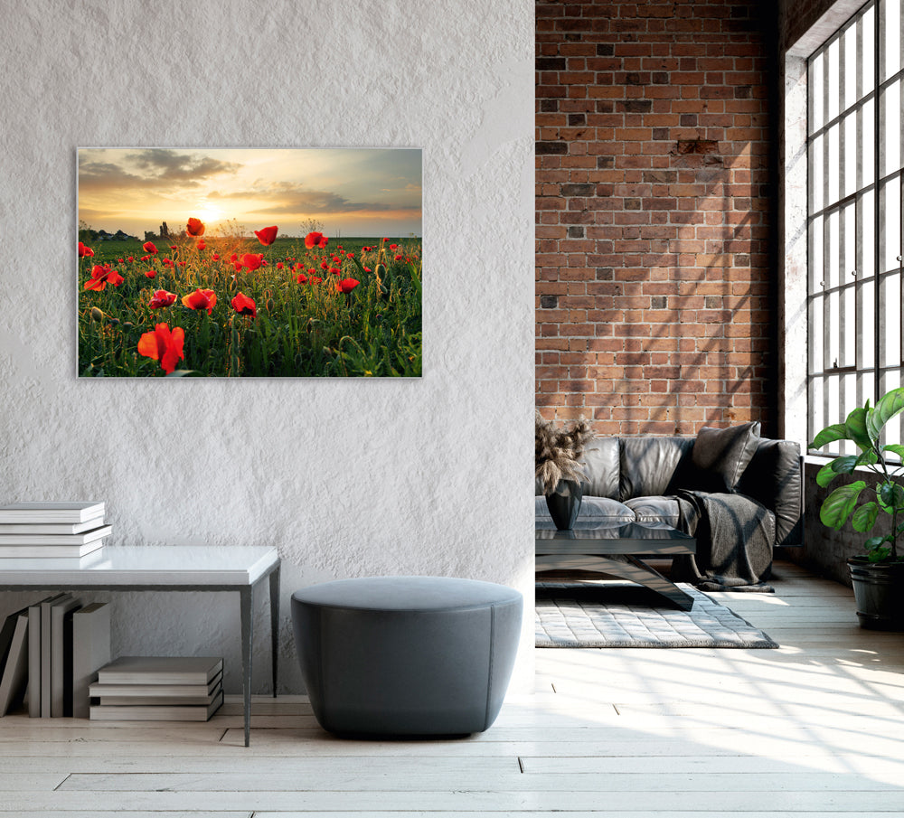 Image et cadre Poppy Meadow 3