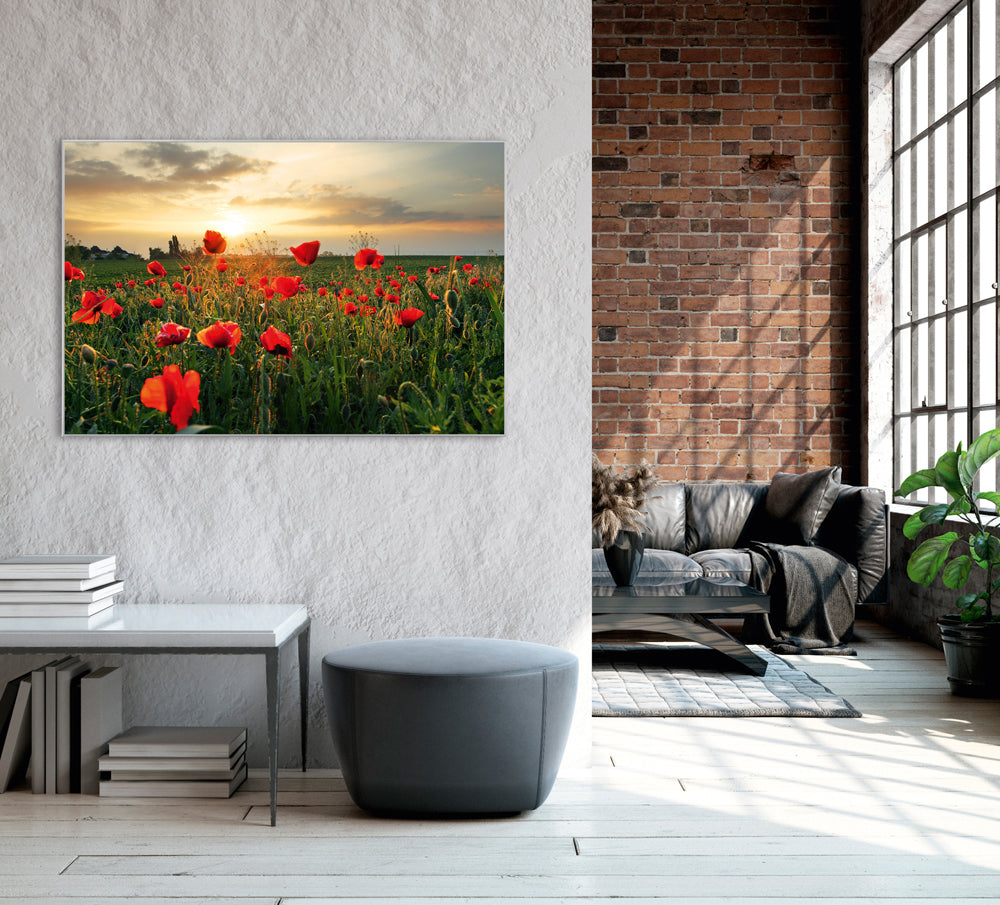 Image et cadre Poppy Meadow 3
