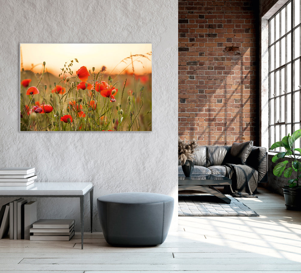 Picture & Frame Poppies 3