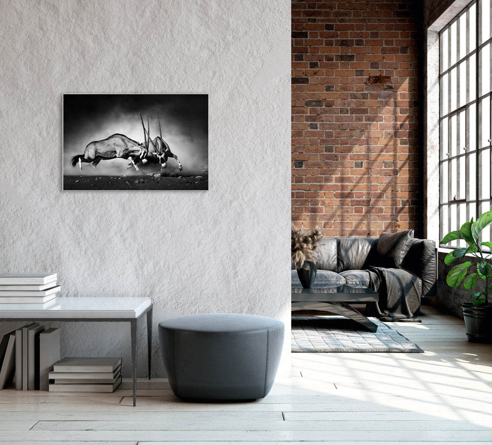 Image et Cadre 2 combattant Oryx