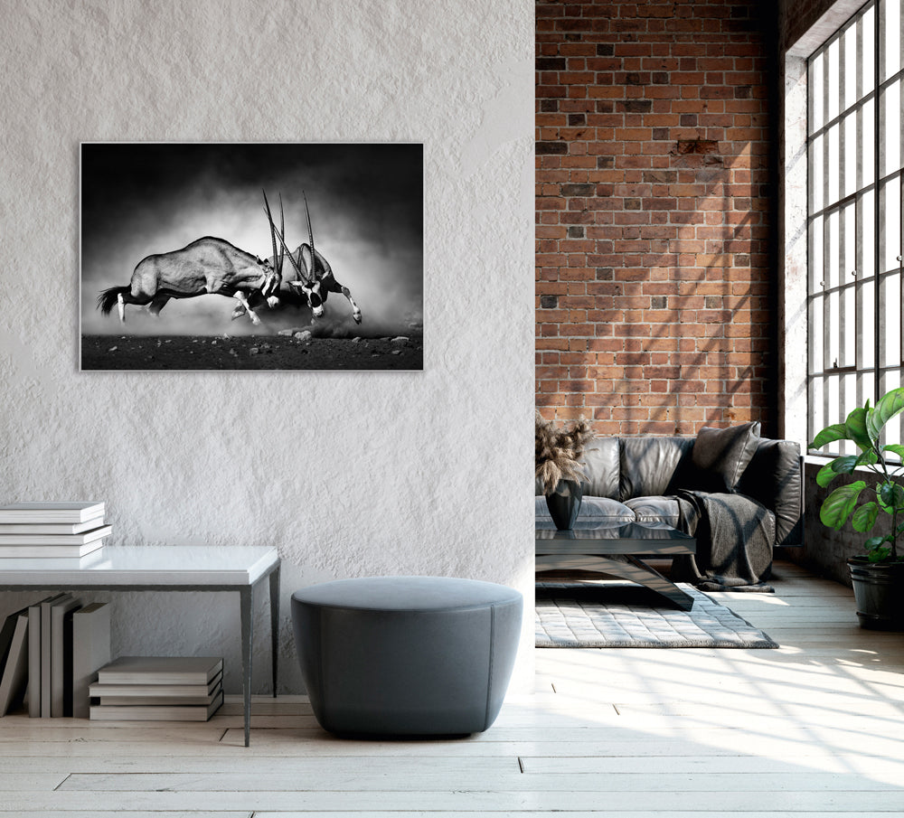 Picture & Frame 2 fighting Oryx