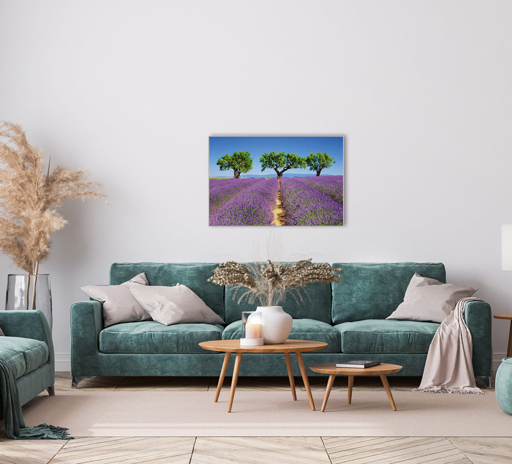 Picture & Frame Lavender Field 6