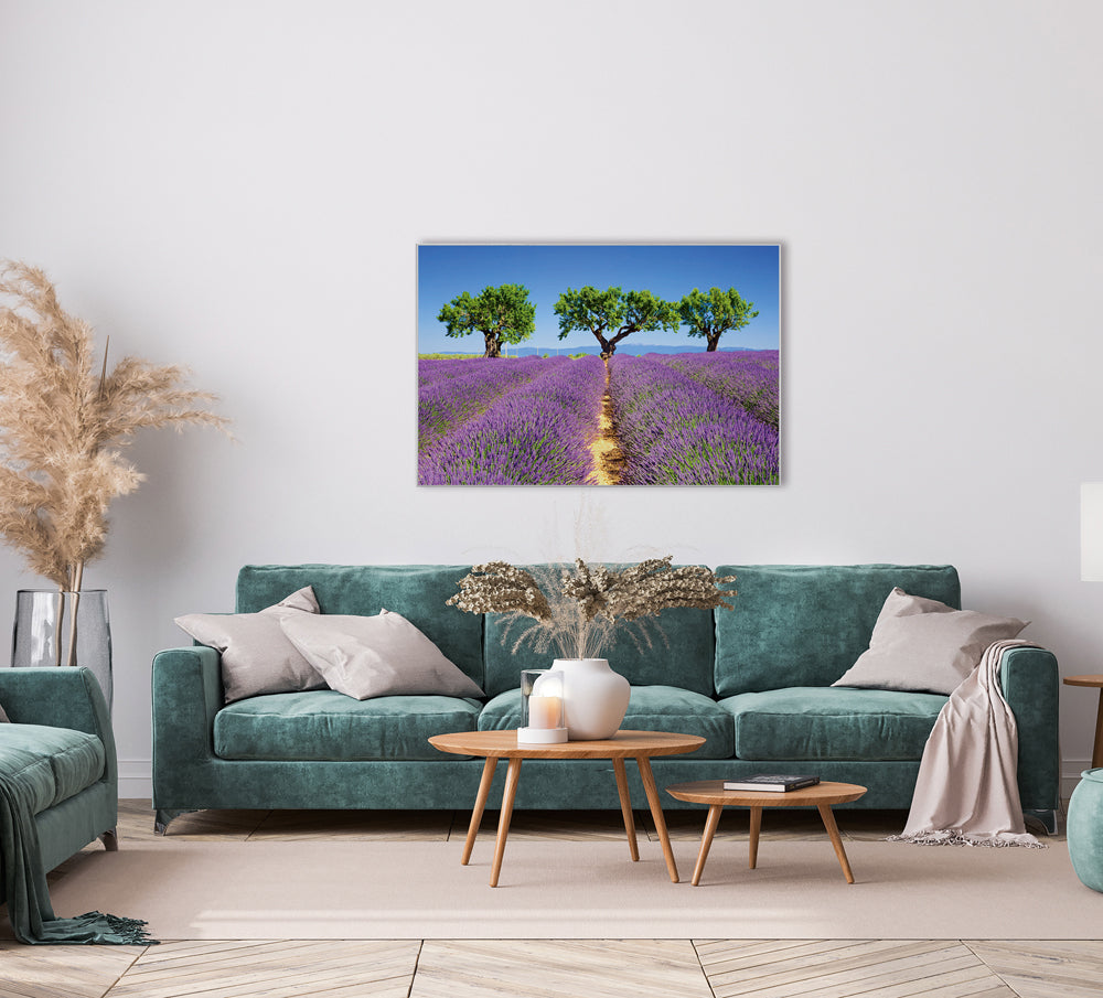 Picture & Frame Lavender Field 6