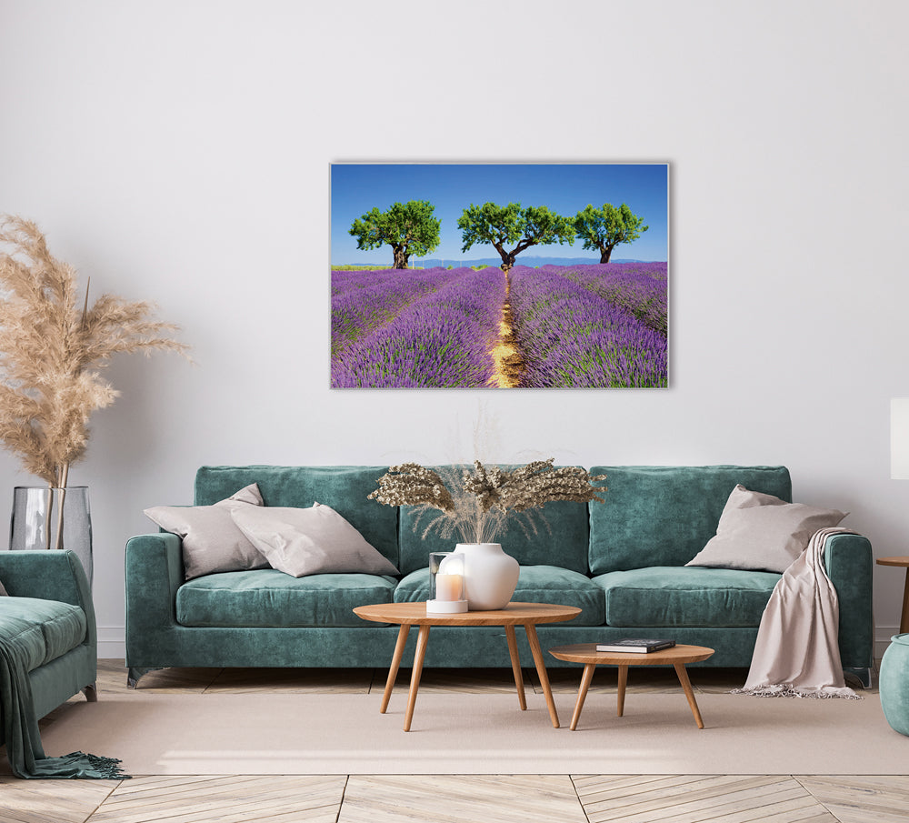 Image et cadre Champ de lavande 6